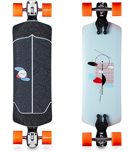 Amazon.com : Loaded Boards Tan Tien Bamboo Longboard Skateboard